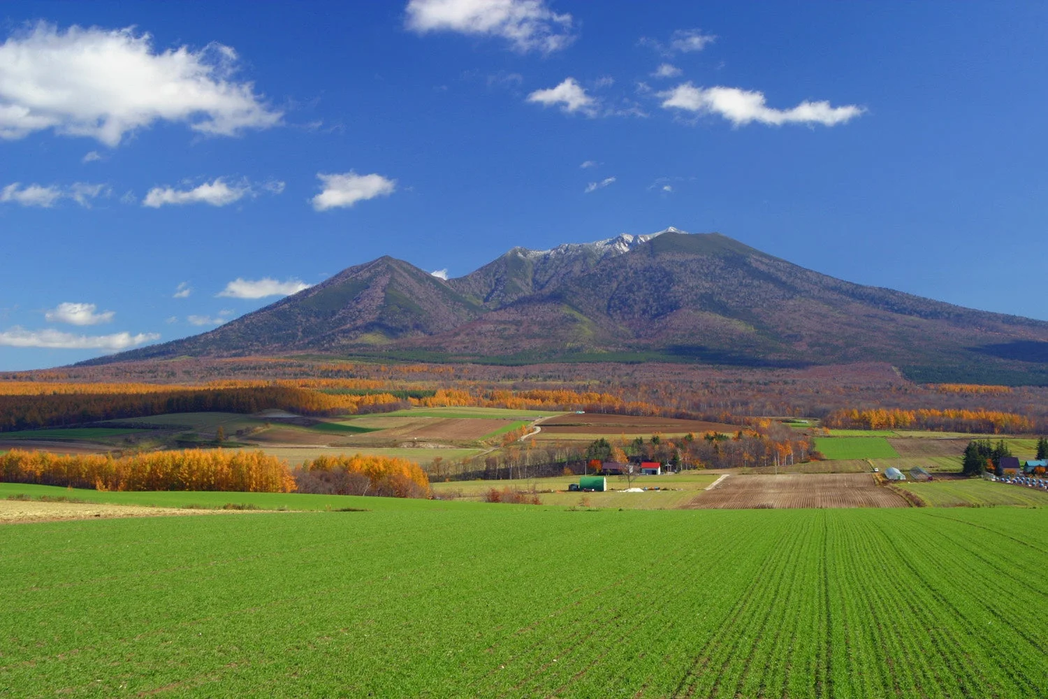秋の富良野の風景(山、畑、紅葉)
