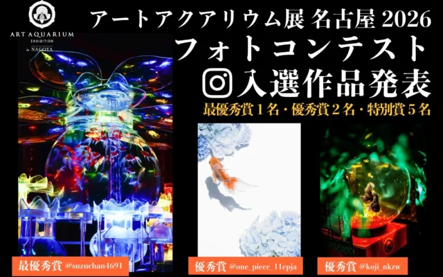 「アートアクアリウム展 名古屋2026」『推し金魚』フォトコンテスト受賞作品が発表！幻想的な金魚の世界を捉えた写真の数々