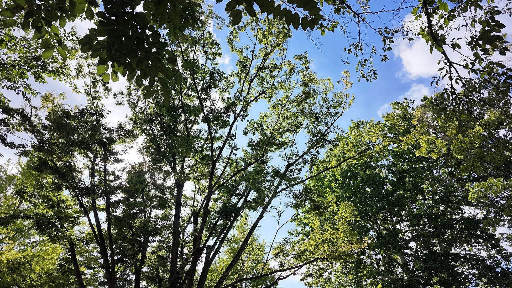 ワイドレンズ効果イメージ3
