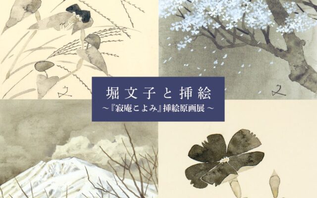 堀文子と挿絵『寂庵こよみ』挿絵原画展 —「花の画家」が描いた四季折々の草花、瀬戸内寂聴の連載エッセイ挿絵50点余りを初公開