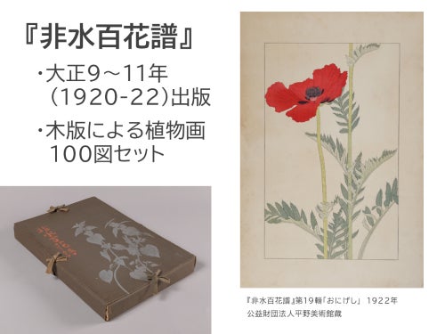 川越市立美術館特別展「生誕150年 杉浦非水と『非水百花譜』」