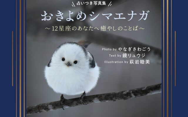 SNSフォロワー累計90万部超の写真家・やなぎさわごう氏×人気の心理占星術研究家・鏡リュウジ氏による初の共著『占いつき写真集 おきよめシマエナガ～12星座のあなたへ癒やしのことば～』11月2日発売